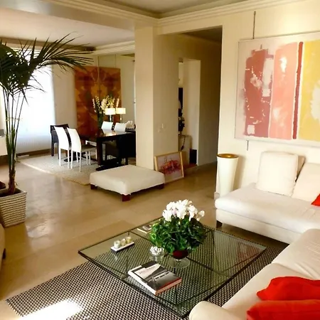 Superb Palm Beach * 칸느